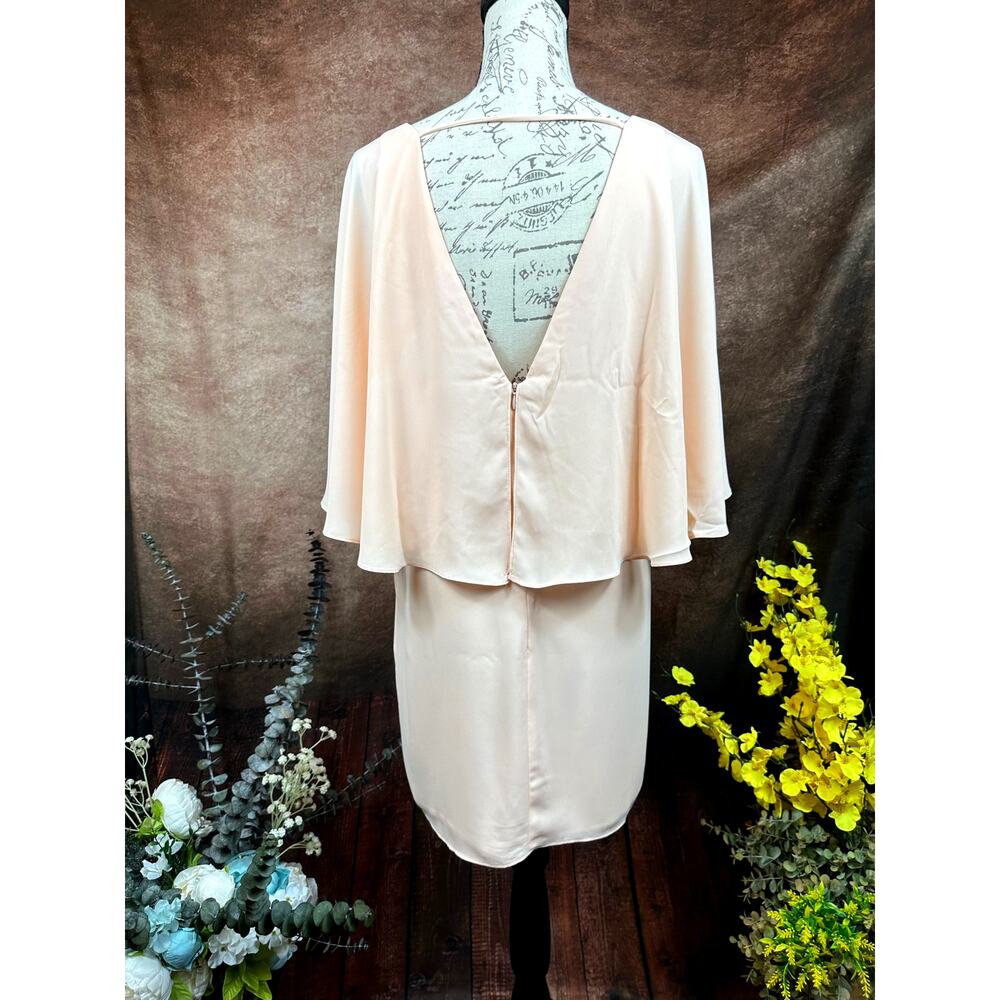 Three Eighty Two V Neck Overlay Chiffon Mini Dres… - image 11